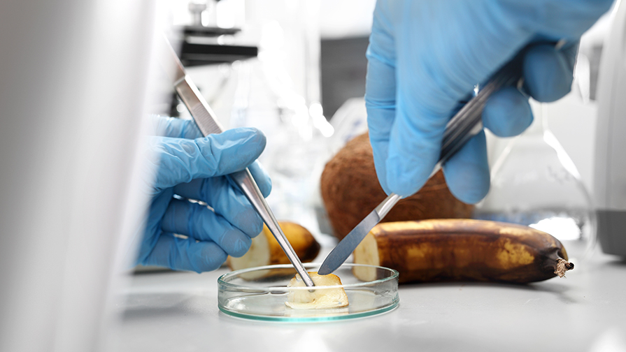 Food Engineering Division - IFT.org