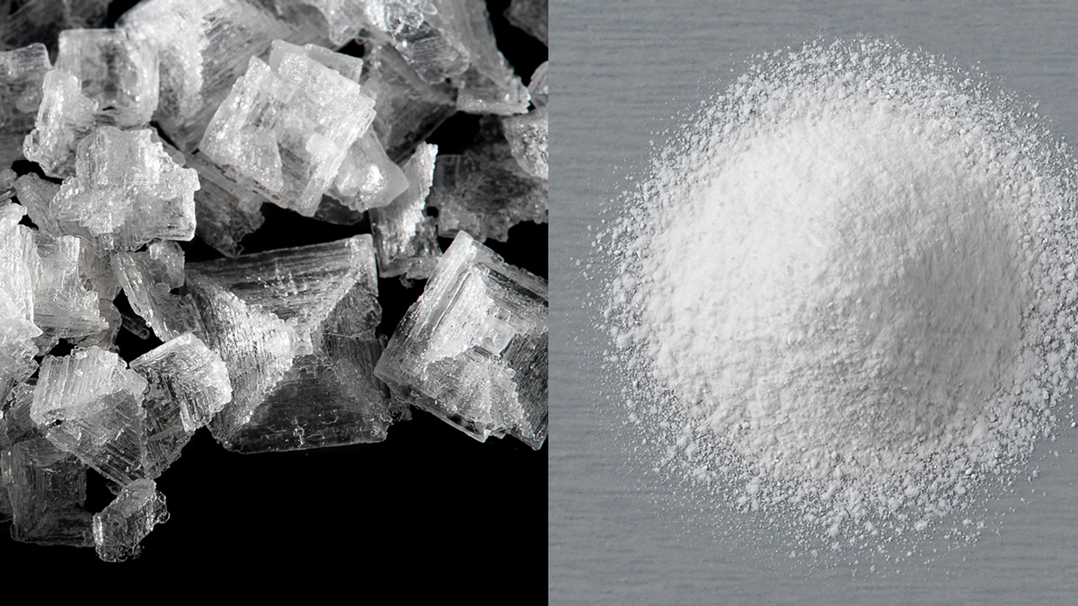 Cargill's Alberger crystals (left) and microsized (right)