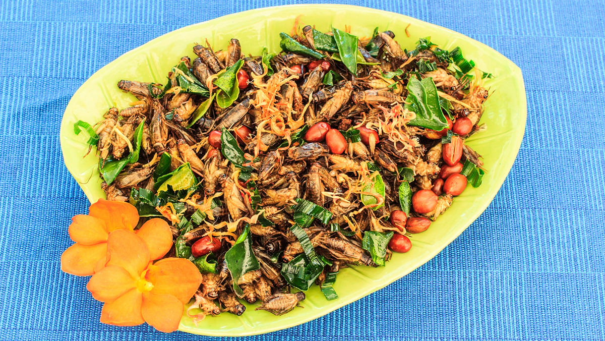 fried crickets in Thai dish