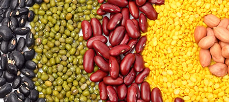 Variety of Beans