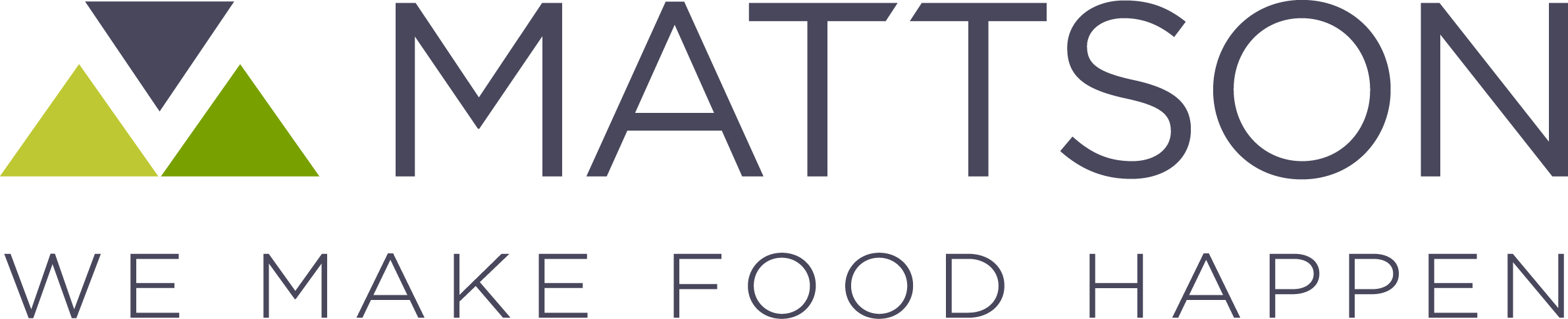 Mattson logo