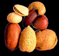 Nuts make up a very diverse group, but whatever their type, they offer functional advantages in a variety of applications and, as studies are now increasingly showing, nutraceutical benefits as well. Photo courtesy of International Tree Nut Council