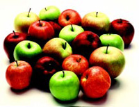 Apples may be the first produce to be treated with the ripening inhibitor MCP to extend shelf life. Photo courtesy of the U.S. Apple Association.