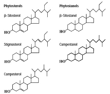 Fig. 2—Structures of common phytosterols and phytostanols.