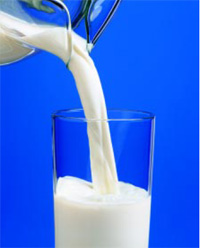 Consumers are most familiar with milk as a source of calcium and vitamin D, essential nutrients for bone health.