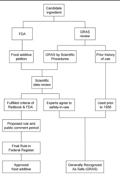 Food ingredient approval process