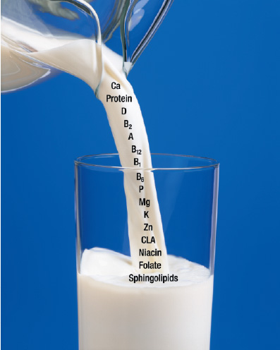 Fig. 1—Milk serves as a source of important nutrients such as calcium, whey protein, conjugated linoleic acid, and essential vitamins and minerals.
