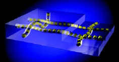 Fig. 1—Microscopic channel structures within plastic packaging allow controlled transport of small molecules of active substances.