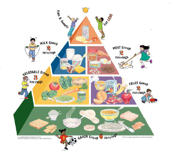 Fig. 1—The Food Guide Pyramid for Young Children is an adaptation of the original Food Guide Pyramid designed to simplify educational messages and focus on young children’s food preferences and nutritional requirements.