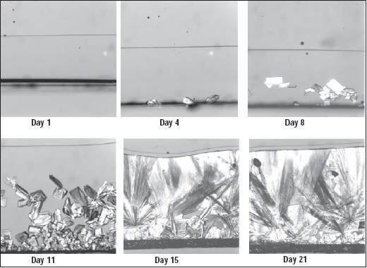 Penetration of moisture into an amorphous sugar system followed by nucleation and crystal growth.