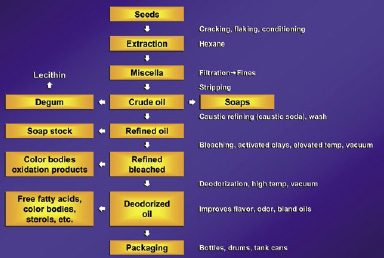 Basic steps in processing of fats and oils.