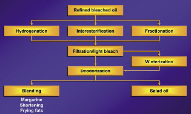 Modification of fats and oils for use as salad oil, spreads, shortenings, and frying fats.