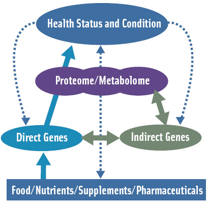 What a person consumes affects that person both directly and through the genome. Understanding this can lead to the development of new health solutions.