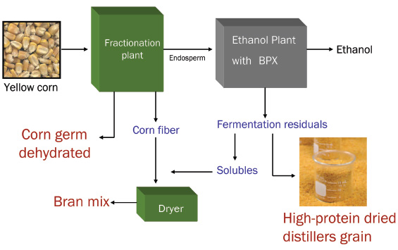 Broin fractionation process (BFRAC™) separates corn into fiber, germ, and endosperm, then ferments the endosperm by the company’s BPX™ raw starch hydrolysis process to create ethanol. The remaining fractions are converted into other products marketed for use as livestock feed under the Dakota Gold brand name.