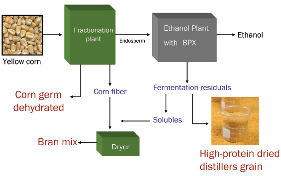 Broin fractionation process (BFRAC™) separates corn into fiber, germ, and endosperm, then ferments the endosperm by the company’s BPX™ raw starch hydrolysis process to create ethanol. The remaining fractions are converted into other products marketed for use as livestock feed under the Dakota Gold brand name.