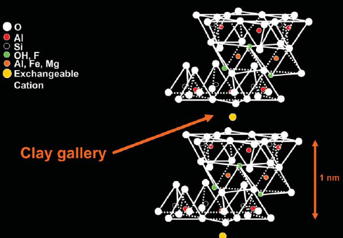 Montmorillonite nanoclay structure showing parts of two clay sheets surrounding an exchangeable cation in the gallery, the area between the sheets. 