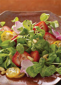 Poppy seeds, associated with bakery products, can lend a distinctive black topping to this healthy salad. This colorful product is made with greens, strawberries, kumquats, and a garnish of rose petals, with each ingredient adding to the sensory experience.