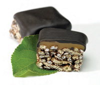 Inclusions are helping to redefi ne food products. Today’s confection, for example, can combine indulgence with better-for-you ingredients. This prototype product is made with chocolate, caramel, plant sterol fl akes, toasted oats, crisps derived from soy and beta-glucan, and extruded cookie pieces.