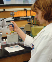 Technician conducts an ELISA quantitative assay for a specific allergen such as peanut, milk, soy fl our, or almond in a food sample. Test samples and standards are added to antibody-coated microwell strips, and substrates are added. After incubation, the technician adds a stop reagent to end substrate color development, then spectrophotometric determination of the absorption of each well is conducted to generate a standard curve and determine from it the level of allergen in the sample. 