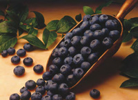 Blueberries contain anthocyanins, which contribute brain-boosting benefits.