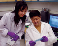 Cornell University professor Rui Hai Liu (seated) discusses with his assistant the cellculture method he and his coworkers have developed to measure antioxidant activity. 