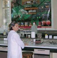 Associate Professor Maria Mercedes Roca is shown in her biotechnology laboratory at Zamorano.