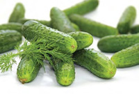 Cucumbers typically are acidified or fermented in bulk to create cured whole pickles that then may be further processed.