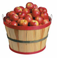Apples can be used in traditional applications such as apple pie or apple sauce. But they work well with savory ingredients as well, and can find use in such products as salsas, stir-fry, and casseroles.