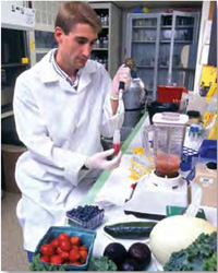 Fruits and vegetables are shown being prepared for chromatographic separation of their antioxidant components by USDA research technician John McEwen.