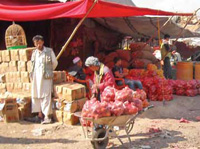 A desolate, underserved food market in Afghanistan.