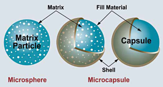 Common encapsulation morphologies.