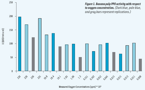 Figure 1. Banana pulp PPO activity with respect to oxygen concentration. (Dark blue, pale blue, and gray bars represent replications.)