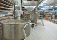 With new food safety legislation in place, bakery operators would be well advised to make sure that HACCP plans are up to date.