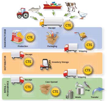 Potential pathway of produce to retail stores.