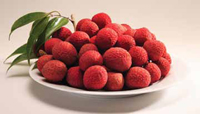 Tropical fruit like this lychee fruit from Hawaii Pride undergoes electronic irradiation treatment so that it can meet USDA’s Animal and Plant Health Inspection Service (APHIS) regulations for export from Hawaii.