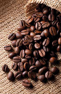 A lot goes on behind the scenes to produce the full-bodied aroma and flavor of coffee from your favorite coffee beans.