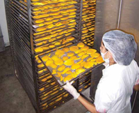 Nicaragua-based Sol Simple operates the largest solar hybrid dryer in Central America, which it uses to produce all natural dried tropical fruits.