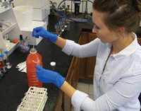 Testing for Alicyclobacillus, a quality control technician draws a sample of a juice beverage.