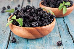 Van Drunen Farms has developed low-moisture blackberries that deliver sweetness and help to extend shelf life.