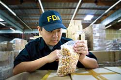 An FDA inspector