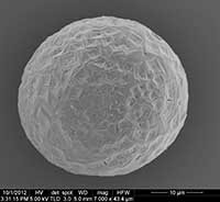SODA-LO Extra Fine Hollow Microspheres