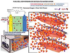 Fuel cell conversion of oxygen to water vapor