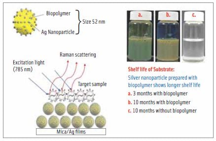 The SERS technique with a biopolymer silver nanocolloid substrate rapidly detects specific foodborne pathogens.