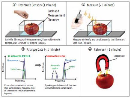 This is an illustration of direct detection of pathogen utilizing the magnetoelastic resonator nanosensor