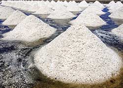 Salt from seawater