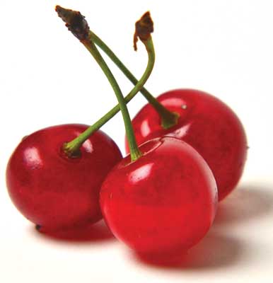 Tart cherries