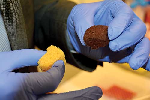 A sponge that absorbs mercury from water