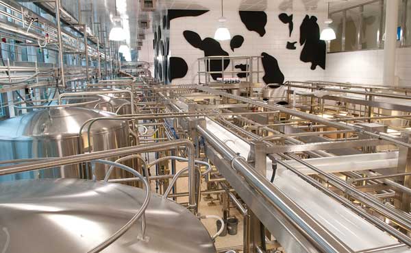 Cornell Dairy processing plant