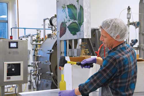 Dan Flynn hammers cork into bottle of olive oil