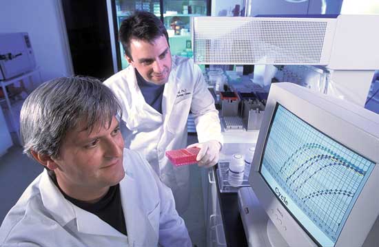 USDA technician Dan Bullock (left) and geneticist Ken Overturf